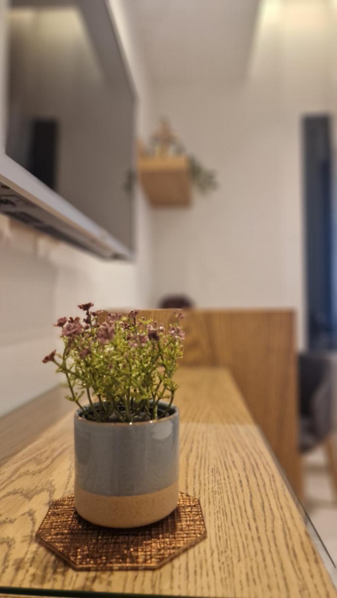 Meligeo Suites Center Of Ιωάννινα Εξωτερικό φωτογραφία